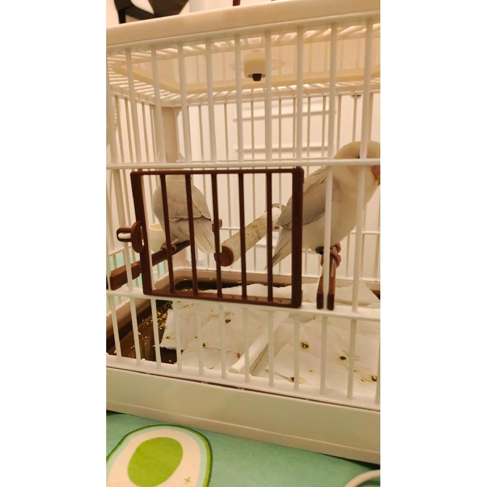 Large Space Breathable Portable Bird Cage Parrot Villa Cage Bird Walking Artifact Outdoor Take Out Ornamental Cage Small Bird