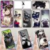 Миниатюрный шнауцер щенок собака чехол для телефона Для Samsung A42 A31 A40 A51 A71 A32 A80 A91 A52 A72 A73 A20e A21S A50 A70 A11 A12 Обложка