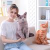 Очаровательная 3D Мяу Звездная Кошка Плюшевая Кукла Диванная Подушка Подушка