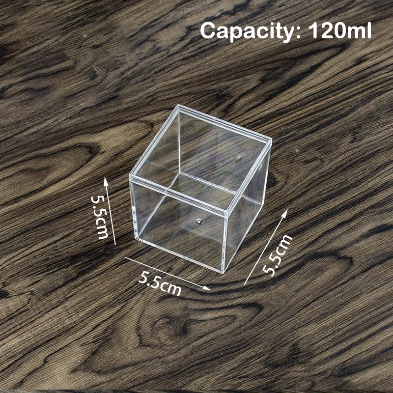 Square High Transparent Plastic Box Betta Breeding Box Mini Candy Packaging Box