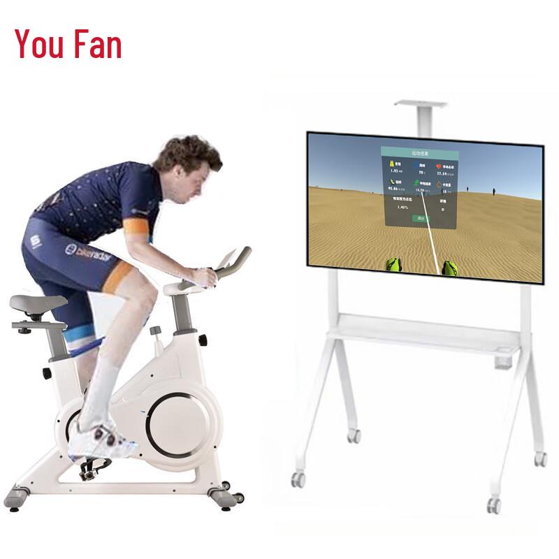 YOUFAN 50-inch Immersive Fitness Exercise Bike CN plug (adapter included)