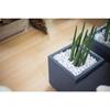 Square Flower Pot 40 Cm - EDA - Graphite - 31 L - 39 X 39 X H. 43 Cm - Anthracite Grey
