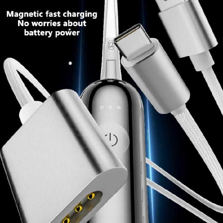 Портативный зарядный кабель-адаптер Type C/USB для электрических зубных щеток Laifen LFTB01-P с магнитным креплением