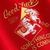 Anta Худи серии Good Things Happen Life Весна 2026 Мужской свитшот Темно-красный 152618707N-1