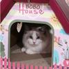 Картонная коробка для кошек, домик для кошек, кошачье гнездо, кошачья когтеточка, интегрированная вертикальная коробка, большая симпатичная гофрированная бумага, принадлежности для заточки когтей, Ca