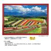 Yanoman [Made in Japan] 1000-Piece Jigsaw Puzzle: Scenery of Japan - Shikisai-no-oka and the Tokachi