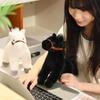 Трансграничная симуляция Плюшевый пони: Куклы Белый Дракон, Черная Лошадь, Белая Лошадь - Подарок для Мальчиков и Детей