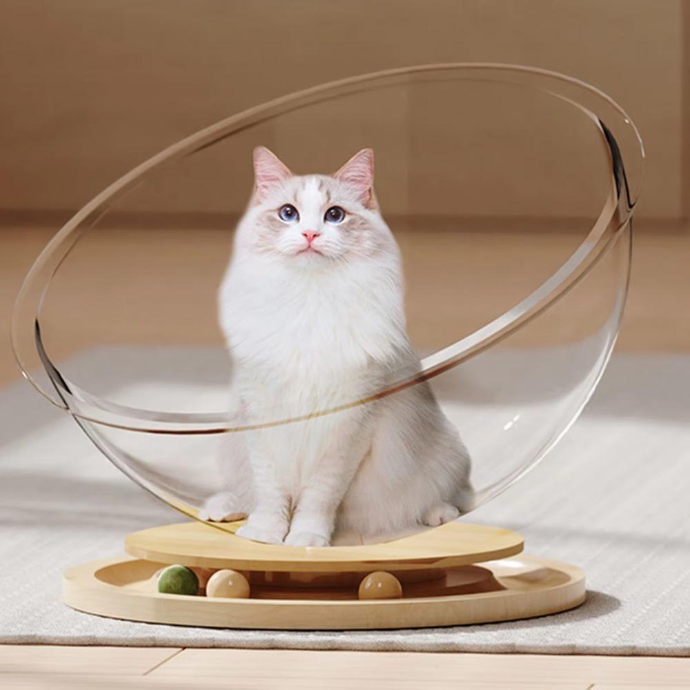 Transparnt Space Capsule Cat Bed Round Cat Toys Good Load Bearing Cat Sleeping Nest Kitten