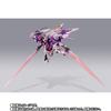 METAL BUILD 10th Anniversary Raiser Full Particle Trans-Am ver.
