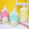 New Pet Clothes Spring and Summer Dog New Skirt Dog Clothing Teddy Small Dog Skirt Candy-colored Layered Skirt