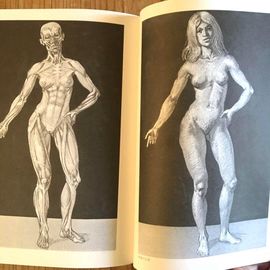 [ИСПОЛЬЗОВАННЫЙ] Рисунок фигуры 430 Разрезы Структура Основная схема скелета Объяснение Иллюстрация Обнаженная натура