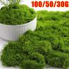 1Set Ornaments Micro Landscape Simulation Moss For Potted Plants Fake Grass Artificial Green Moss