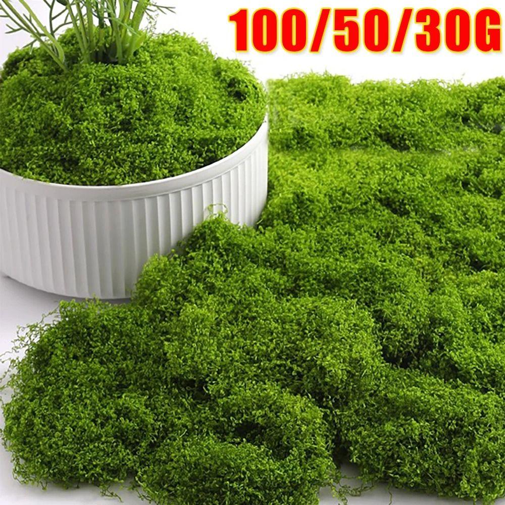 1Set Flower Moss Green Moss Ornaments Micro Landscape Fake Grass Durable Simulation Moss