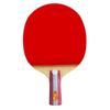 Double Fish Beginner Fast Attack Training Table Tennis Bat