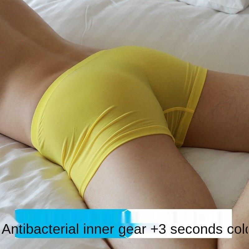 2025 Summer High Quality Ultra-thin Ice Silk Transparent Men's Underwear Youth Elastic Large Size Panties
