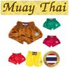 Raja Boxing Muay Thai Kickboxing Training MMA Shorts Retro Vintage Pants Print 3D Elastic Waist Fight Martial Art Quick Dry Unisex Men Women