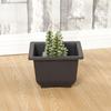 Plastic Planter Square Balcony Plant Bowl Succulent Basin Bonsai Flower Pot