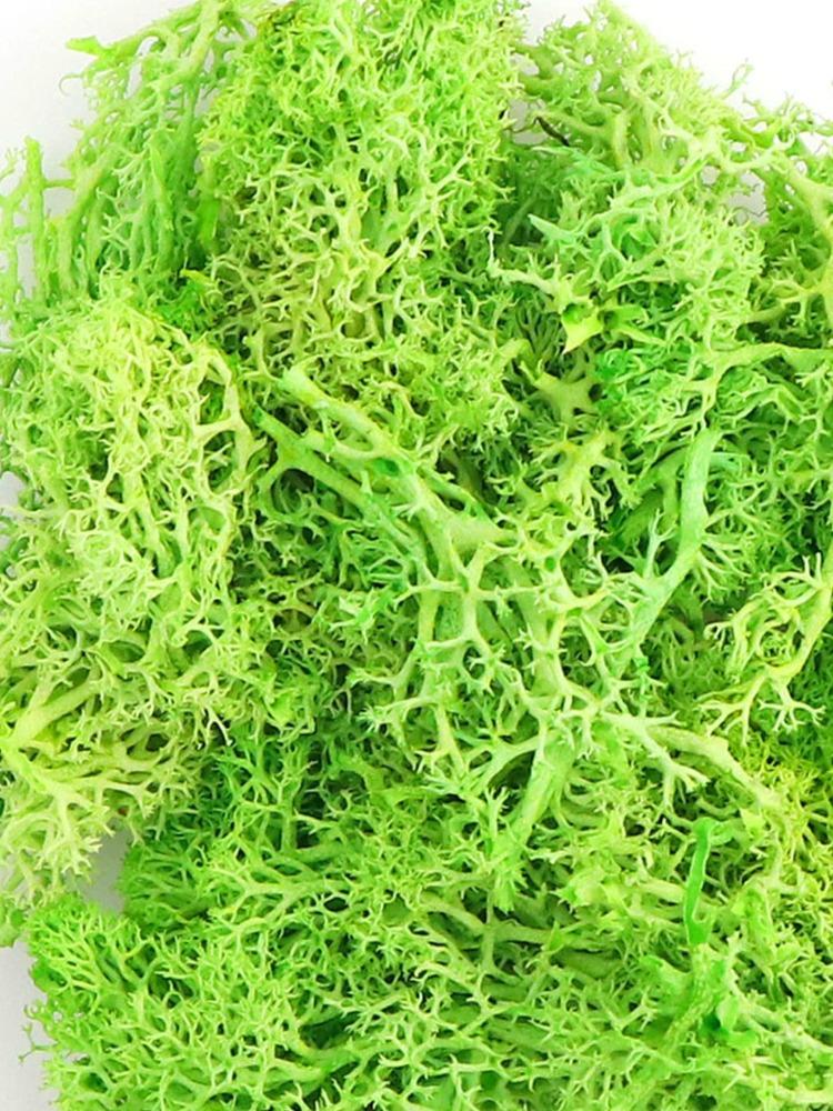 20 г Искусственный Бессмертный Мох Зеленый Искусственное Растение для Дома Сада Гостиная Озеленение Декор Наполнитель Стены Цветочное Растение Искусственный Мох