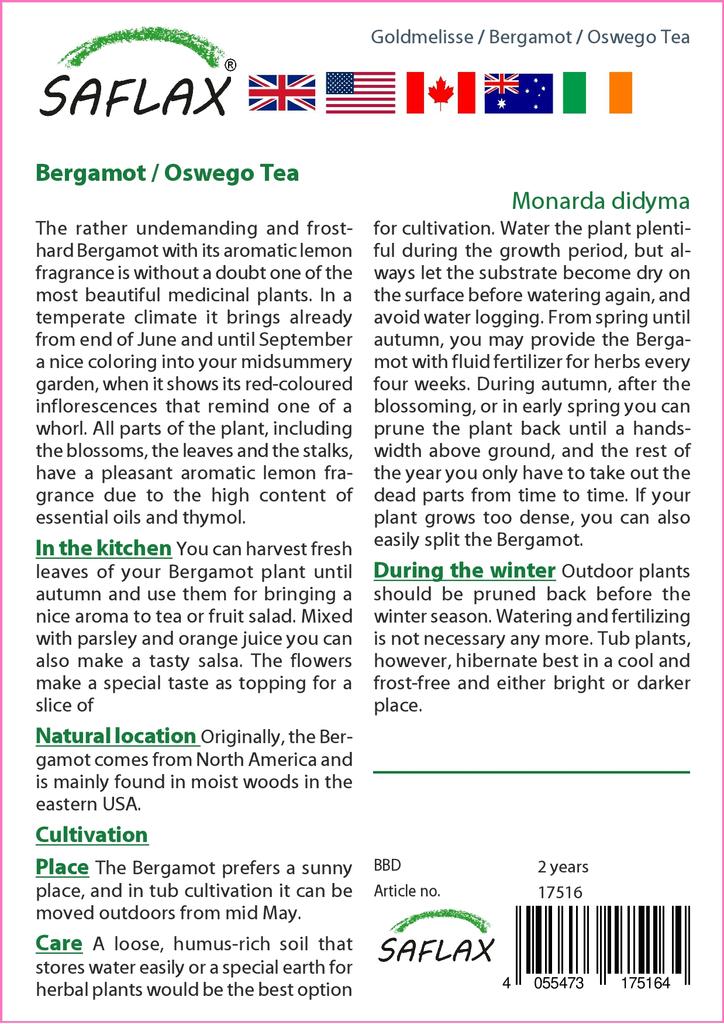 SAFLAX Garden in the Bag - Чай Бергамот / Освего - 20 семян - С субстратом в подходящем пакете-стойке - Monarda Didyma