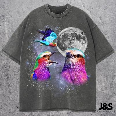 Three Lilac Breasted Roller Retro Graphic T-shirts, Funny Bird Moon Tee, Colorful Bird Lovers Shirt, Vintage Wildlife Top Gift