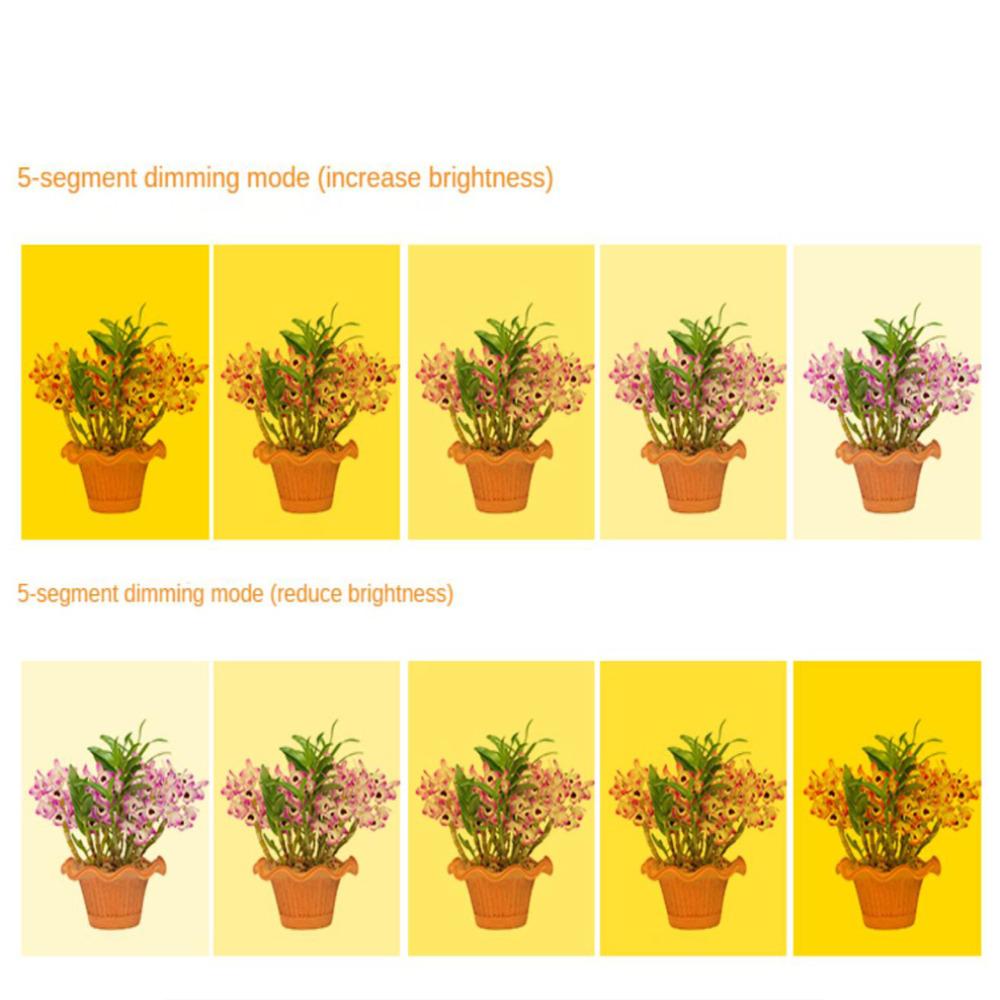 Светодиодный светильник полного спектра для выращивания комнатных растений, регулируемая по высоте лампа для выращивания ангельских колец с автоматическим таймером, идеально подходящая для освещения небольших растений