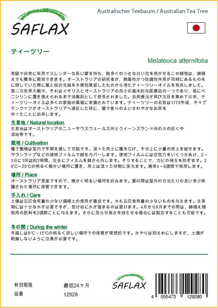 SAFLAX Австралийское чайное дерево - 400 семян - Melaleuca alternifolia