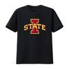Iowa STATE Футболка Softstyle Одежда для колледжа Школьный дух Фан Стильный дизайн винтажный Стиранный топ Для повседневной носки с принтом