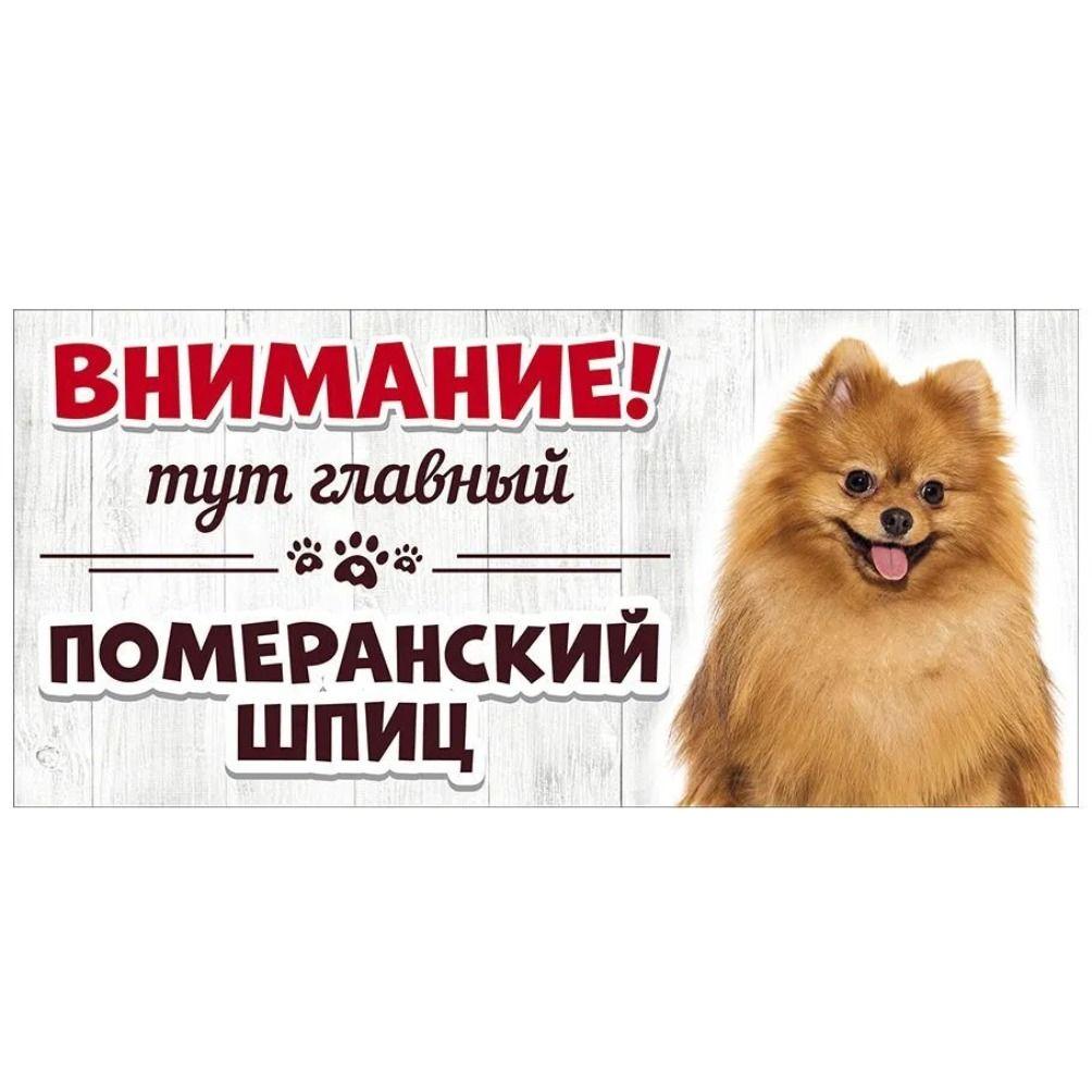 Злой Шпиц Померанский Знак, Металлическая Табличка на Дверь Забора 30x15см