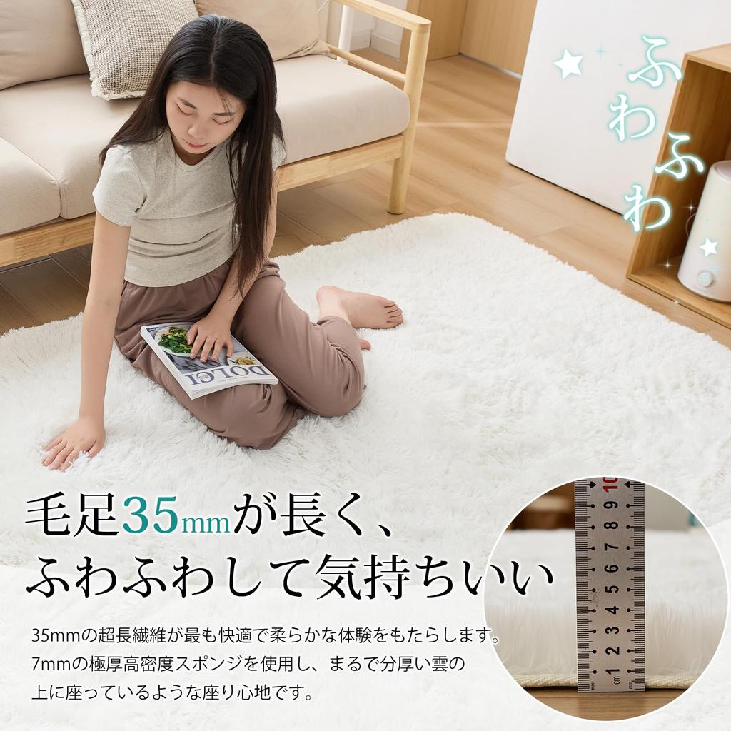 Housecover Shag Rectangular Dust Mite Odor Comfortable for All Compatible with Underfloor Heating and Hot Soft and Fluffy To the White 01 Rug, Carpet,