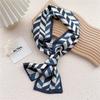 New Scarves Silk Scarves Women'S Spring And Autumn Season Long Decorative Professional Scarves Summer Thin Styles Paired With Shirts Stylish