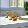 Латунная фигурка жабы, латунная фигурка счастливого животного-лягушки, модель, статуя, скульптура, игрушка для рабочего стола, украшение в стиле фэн-шуй, украшение, фестиваль, подарок