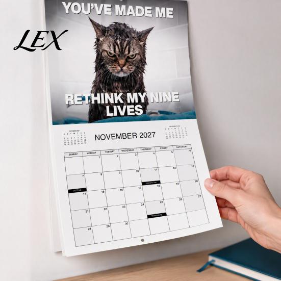 Creative Cat Gift for Her 2027 Wall Calendar, January - December 2027, Funny Calendar School Office 12 Months Hanging Planner Home Decor Humorous