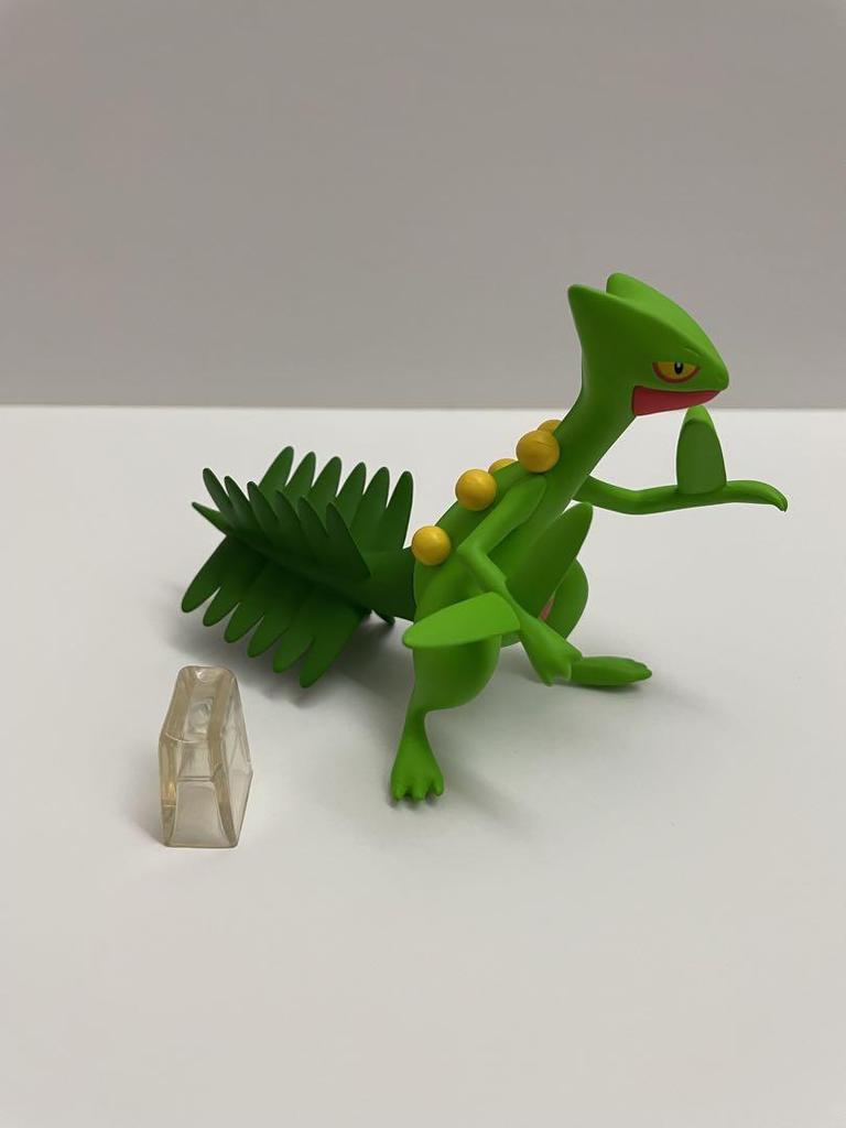 [USED] Pokemon Scale World Hoenn Region Sceptile