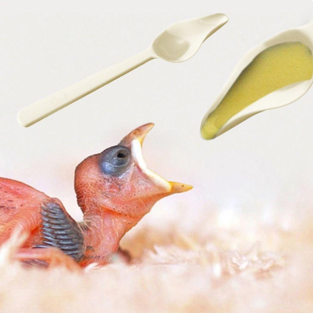 Plastic Bird Milk Powder Feeder Long Handle Chicks Spoon Bird Food Water Spoon for Feeding