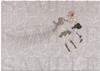Puella Magi Madoka Magica the Walpurgis Night Official Pamphlet Special Edition Movie
