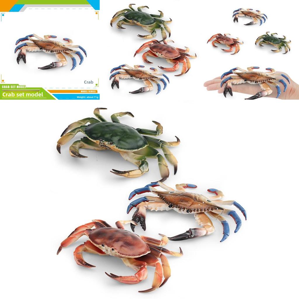 Модель морского животного краба с реалистичным дизайном для украшения рабочего стола