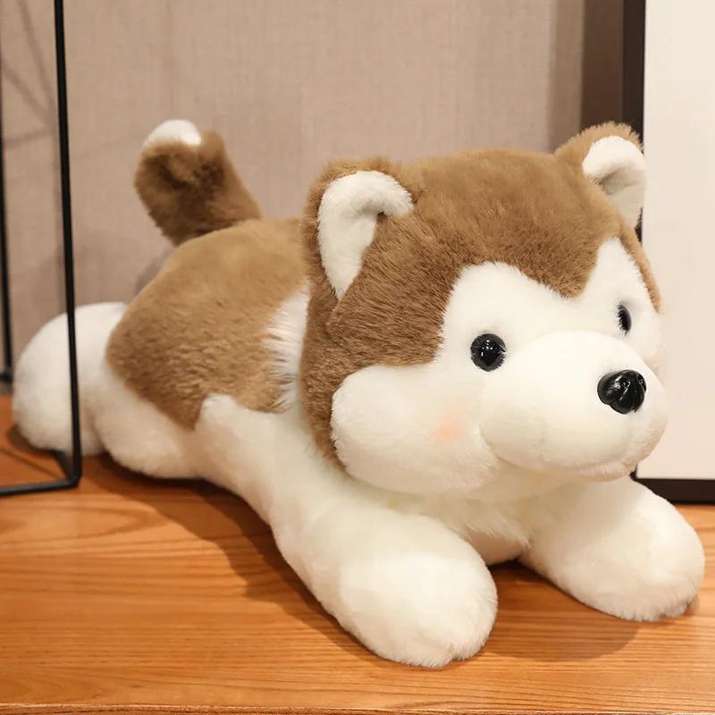 30/40/50CM Cute Husky Dog Plush Toy Stuffed Animal Soft Kawaii Lying Brown Gray Puppy Pillow Doll Toys for Birthday Xmas Gift