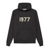 Унисекс свободный флисовый худи FOG Essentials 1977