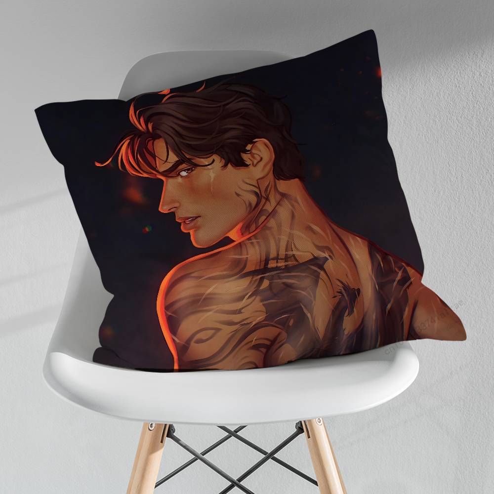 Art FFourth WWing Novel pillow over living room sofa cushion cover home decoration bedroom room bed pillow cover