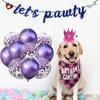 non-woven fabric Dog Birthday  Hat Party Supplies Pets  Pets