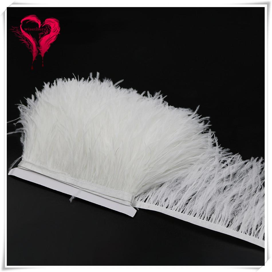 Ostrich Hair Cloth Edge Dress Dress Accessories Skirt Feather Trim With 10-15Cm Tassel