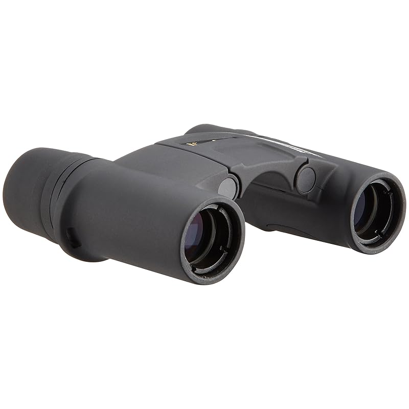 Kenko NEW SG 7x18 DH SGWP Binoculars, Roof Prism, 7x Magnification, 18mm Aperture, Fully Waterproof, Free Focus, FF, Black, BN-101171