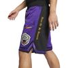 Nike Lebron X Atmos Shorts CJ5921-010