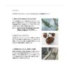 THREE Authentic Balancing Stem Moisturizer