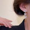 Silver Needle Long Zircon Love Earrings Women's Versatile Niche Design Tassel Earrings Korean Edition Popular Earrings