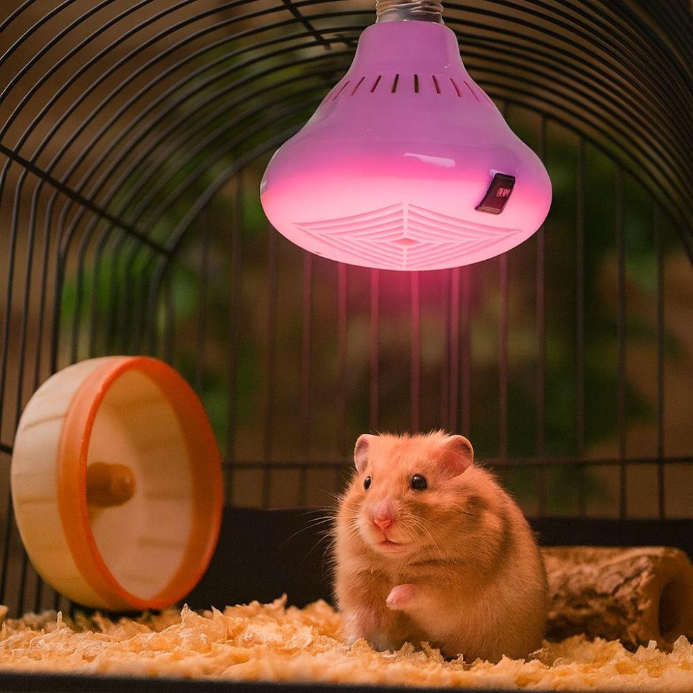 Патрон E27 Лампа для обогрева животных 3 режима регулировки 0-100-200 Вт Лампа-брудер для питомцев 0-50-100 Вт Регулятор температуры