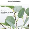 Светодиодная настольная лампа-дерево Искусственный эвкалипт 55см Светодиоды Работает от батареек/USB Огни-деревья для комнаты Спальни Настольная лампа Украшение стола