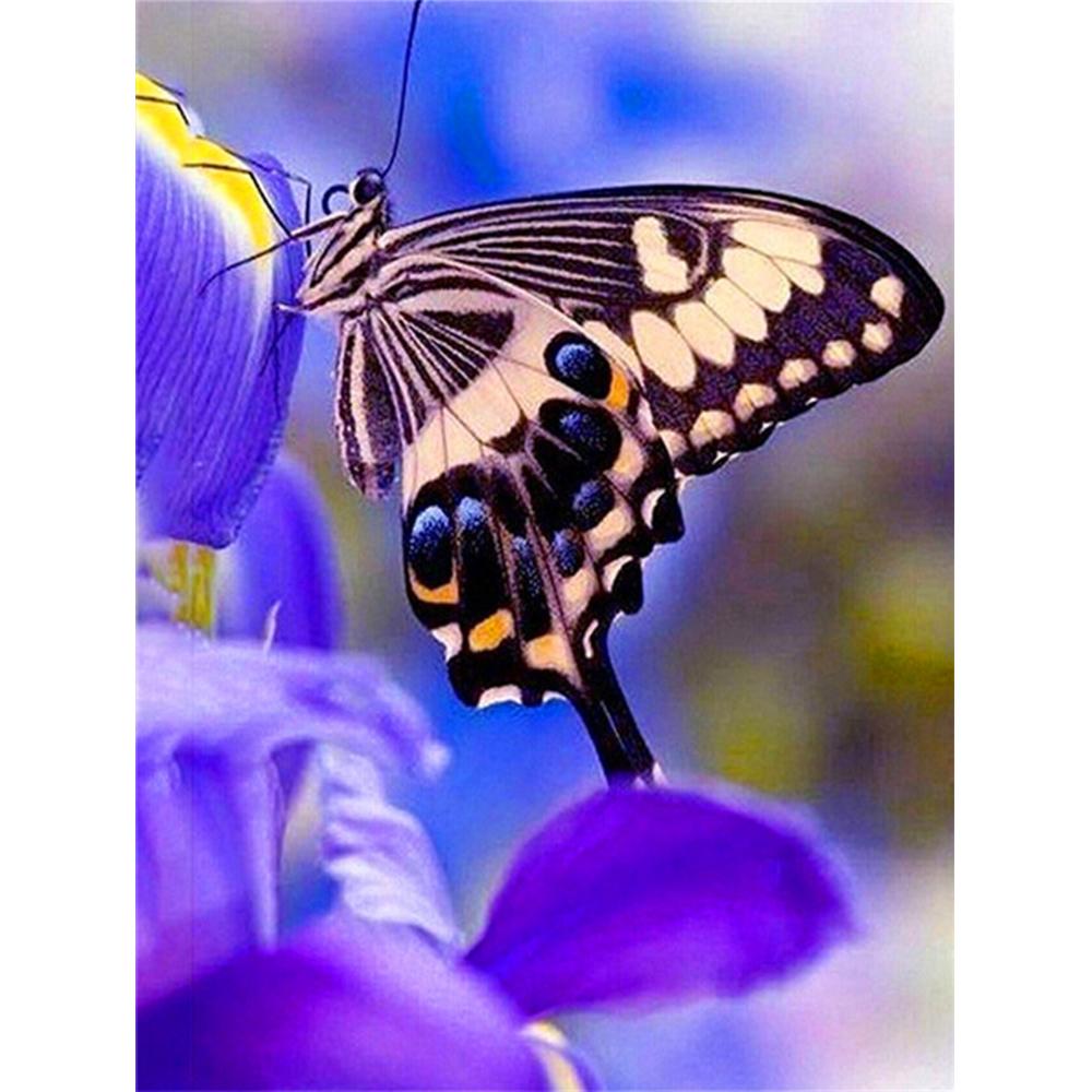 Алмазная картина Новая Сова 5D Алмазная вышивка Крестом Животные Стразы Мозаика Распродажа Decortion