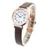 Riki Standard Ladies Solar AKQD403 Ladies Silver [Часы Seiko]