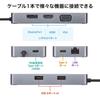 SANWA SUPPLY Док-станция USB-порта подключения/концентратор Type-C (Оснащен VGA/HDMI/DisplayPort/LAN) USB-DKM2BK